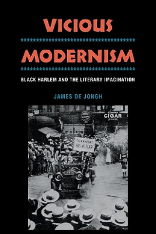 Kniha Vicious Modernism James de Jongh