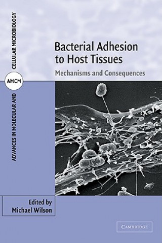 Kniha Bacterial Adhesion to Host Tissues Michael Wilson