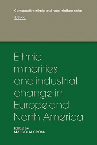 Book Ethnic Minorities and Industrial Change in Europe and North America Malcolm Cross