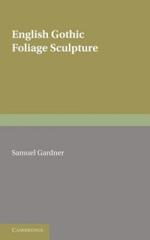 Kniha Gothic Sculpture Samuel Gardner
