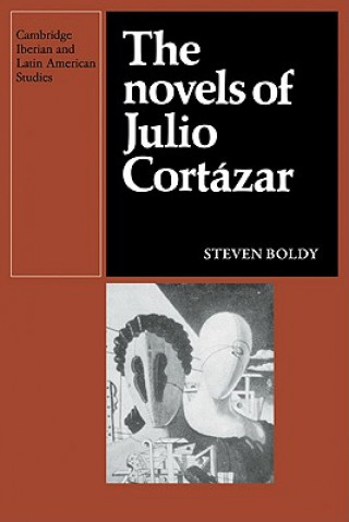 Könyv Novels of Julio Cortazar Steven Boldy