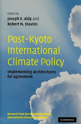 Kniha Post-Kyoto International Climate Policy Joseph E. AldyRobert N. Stavins