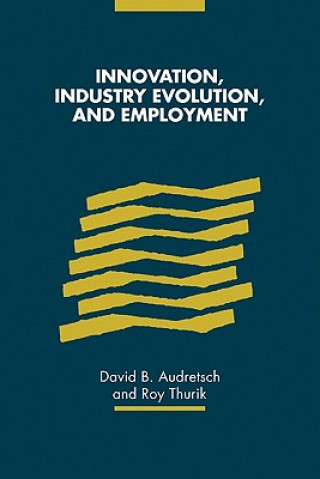Könyv Innovation, Industry Evolution and Employment David B. Audretsch