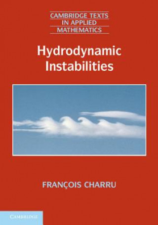 Kniha Hydrodynamic Instabilities François CharruPatricia de Forcrand-Millard