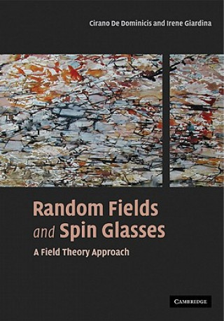 Kniha Random Fields and Spin Glasses Cirano De DominicisIrene Giardina
