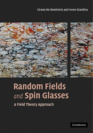 Livre Random Fields and Spin Glasses Cirano De DominicisIrene Giardina