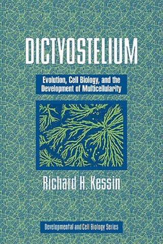 Kniha Dictyostelium Richard H. Kessin