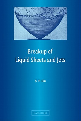 Carte Breakup of Liquid Sheets and Jets S. P. Lin