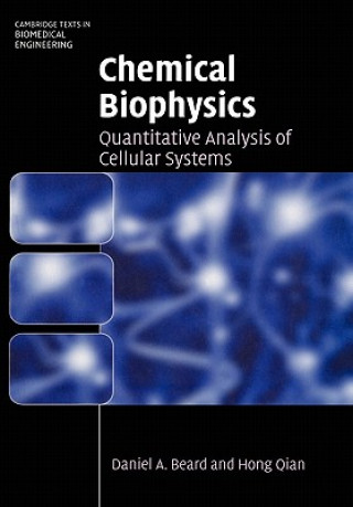 Kniha Chemical Biophysics Daniel A. BeardHong Qian