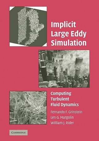 Kniha Implicit Large Eddy Simulation Fernando F. GrinsteinLen G. MargolinWilliam J. Rider