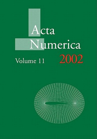 Carte Acta Numerica 2002: Volume 11 Arieh Iserles
