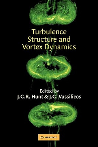 Carte Turbulence Structure and Vortex Dynamics J. C. R. HuntJ. C. Vassilicos