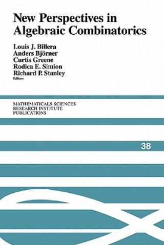 Książka New Perspectives in Algebraic Combinatorics Louis J. BilleraAnders BjörnerCurtis GreeneRodica E. Simion
