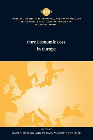 Книга Pure Economic Loss in Europe Mauro BussaniVernon Valentine Palmer