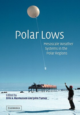 Kniha Polar Lows Erik A. RasmussenJohn Turner