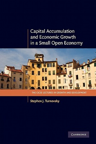 Könyv Capital Accumulation and Economic Growth in a Small Open Economy Stephen J. Turnovsky