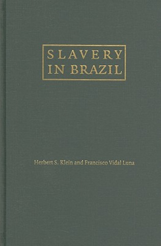 Kniha Slavery in Brazil Herbert S. KleinFrancisco Vidal Luna