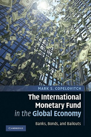 Könyv International Monetary Fund in the Global Economy Mark S. Copelovitch