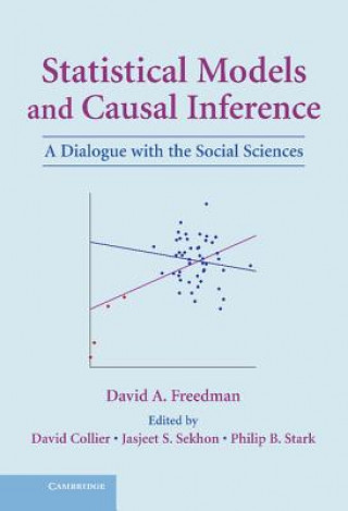 Kniha Statistical Models and Causal Inference David A. FreedmanDavid CollierJasjeet S. SekhonPhilip B. Stark