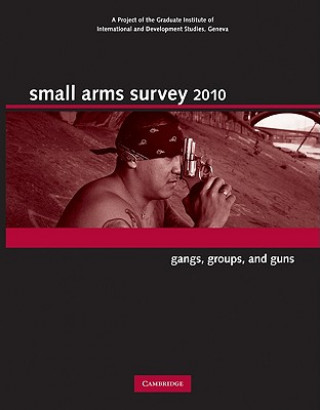 Kniha Small Arms Survey 2010 Small Arms Survey