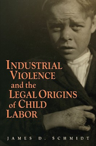 Książka Industrial Violence and the Legal Origins of Child Labor James D. Schmidt