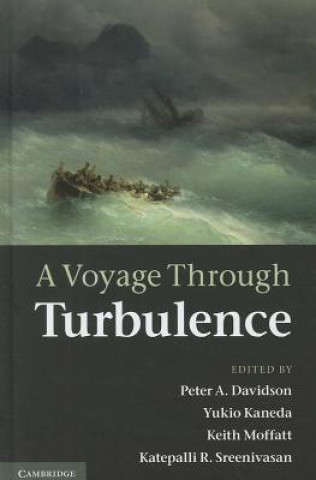 Carte Voyage Through Turbulence Peter A. DavidsonYukio KanedaKeith MoffattKatepalli R. Sreenivasan