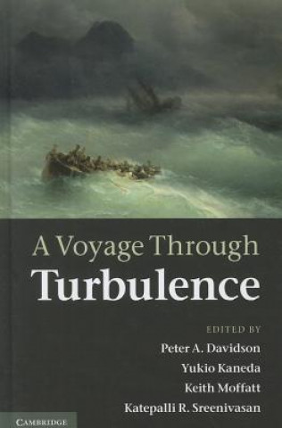 Livre Voyage Through Turbulence Peter A. DavidsonYukio KanedaKeith MoffattKatepalli R. Sreenivasan