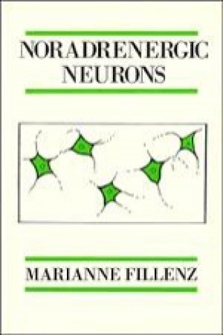 Könyv Noradrenergic Neurons Marianne Fillenz