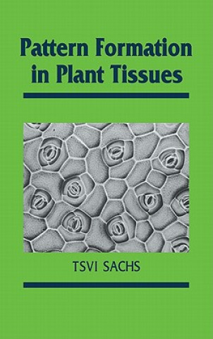 Könyv Pattern Formation in Plant Tissues Tsvi Sachs