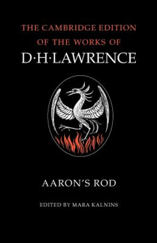 Книга Aaron's Rod D. H. LawrenceMara Kalnins
