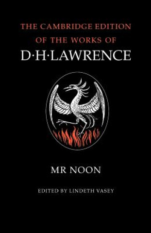 Könyv Mr Noon D. H. LawrenceLindeth Vasey