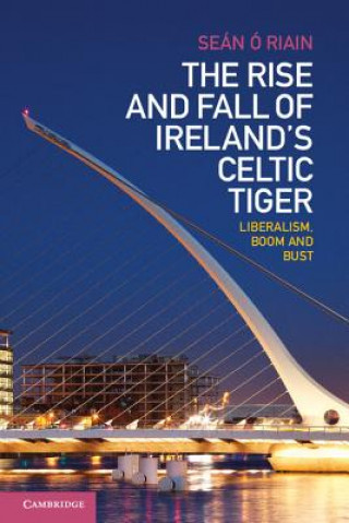 Kniha Rise and Fall of Ireland's Celtic Tiger Seán Ó`Riain