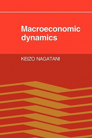 Kniha Macroeconomic Dynamics Keizo Nagatani