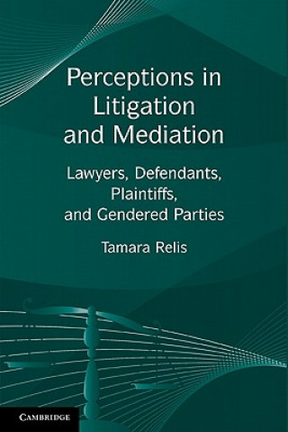 Książka Perceptions in Litigation and Mediation Tamara Relis