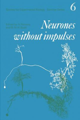 Könyv Neurones without Impulses Alan RobertsB. M. H. Bush