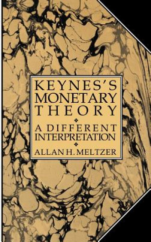 Kniha Keynes's Monetary Theory Allan H. Meltzer