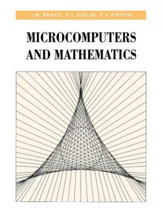 Carte Microcomputers and Mathematics James William BruceP. J. GiblinP. J. Rippon