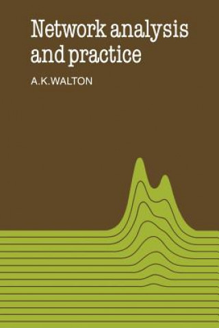 Kniha Network Analysis and Practice Alan Keith Walton