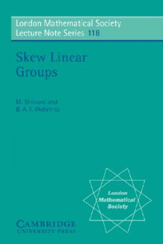 Buch Skew Linear Groups M. ShirvaniB. A. F. Wehrfritz