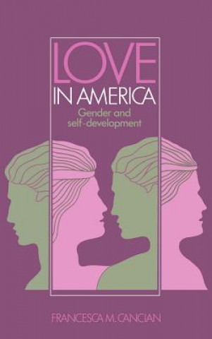 Książka Love in America Francesca M. Cancian