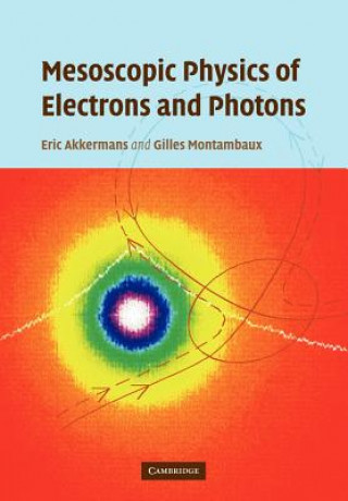 Kniha Mesoscopic Physics of Electrons and Photons Eric AkkermansGilles Montambaux
