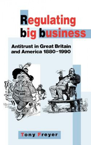 Kniha Regulating Big Business Tony Freyer