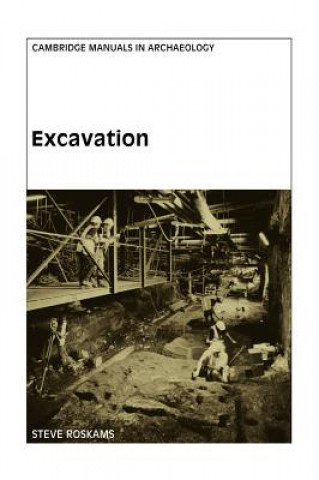 Kniha Excavation Steve Roskams