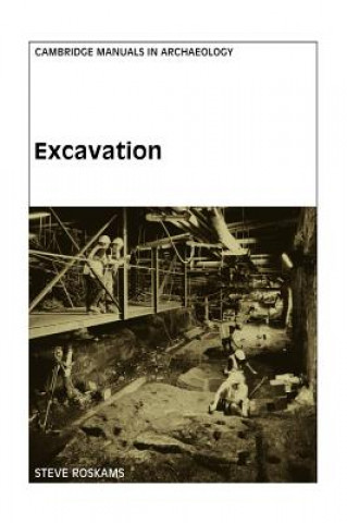 Book Excavation Steve Roskams