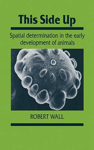 Book This Side Up Robert Wall