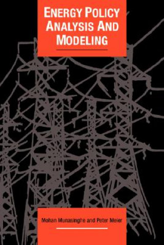 Książka Energy Policy Analysis and Modelling Mohan MunasinghePeter Meier