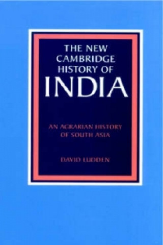 Kniha New Cambridge History of India David Ludden