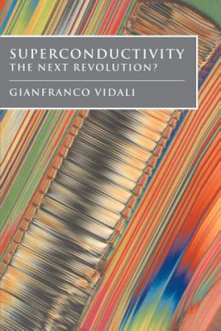 Libro Superconductivity Gianfranco Vidali