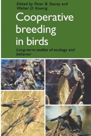 Könyv Cooperative Breeding in Birds Peter B. StaceyWalter D. Koenig