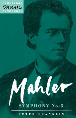 Książka Mahler: Symphony No. 3 Peter Franklin